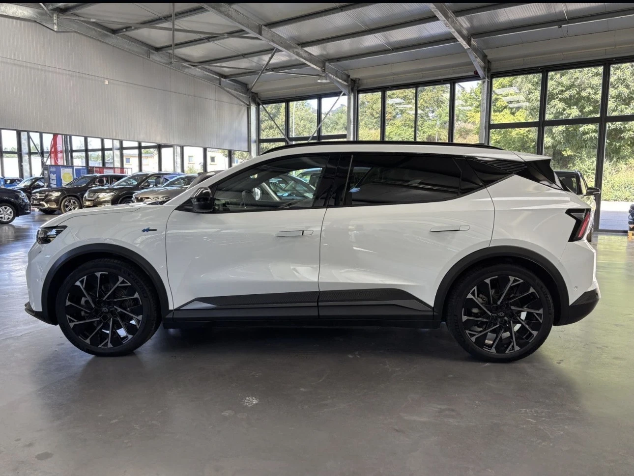 Renault Scenic Alpine 87 kwh, снимка 5 - Автомобили и джипове - 54184821