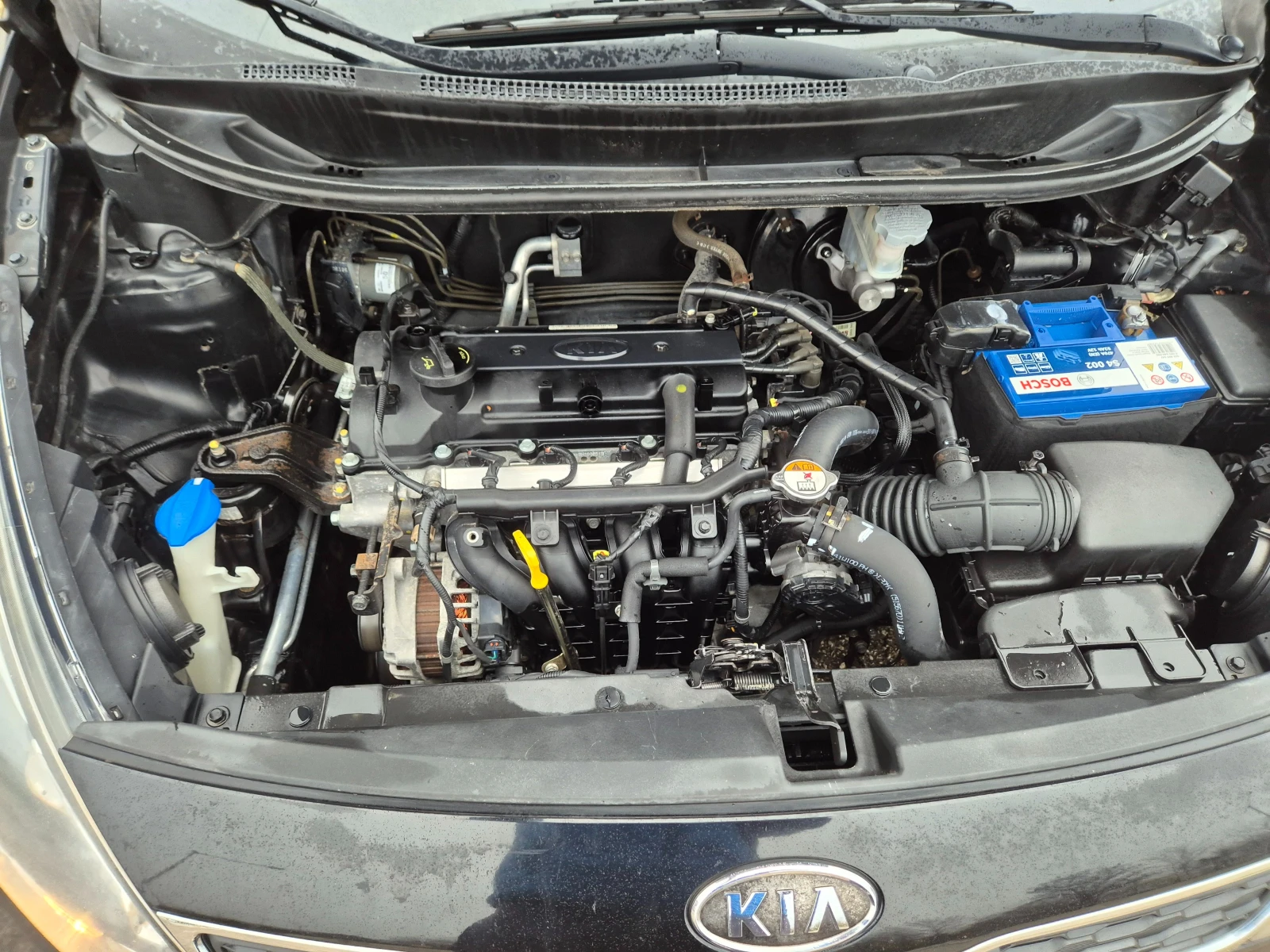 Kia Rio 1.2I 84k.s KLIMATIK | Mobile.bg   16