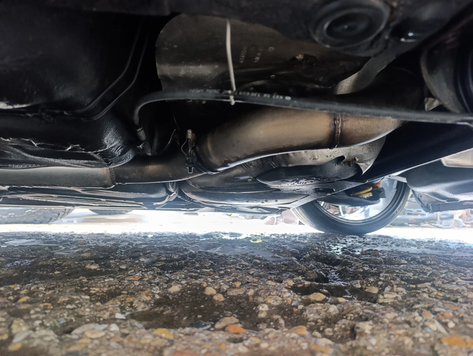 Seat Leon 1.8т BAM 225 Cupra, снимка 16 - Автомобили и джипове - 54100940