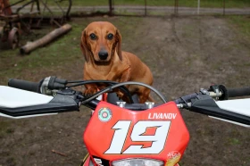 GASGAS EC undefined | Auto.bg — изображение 8