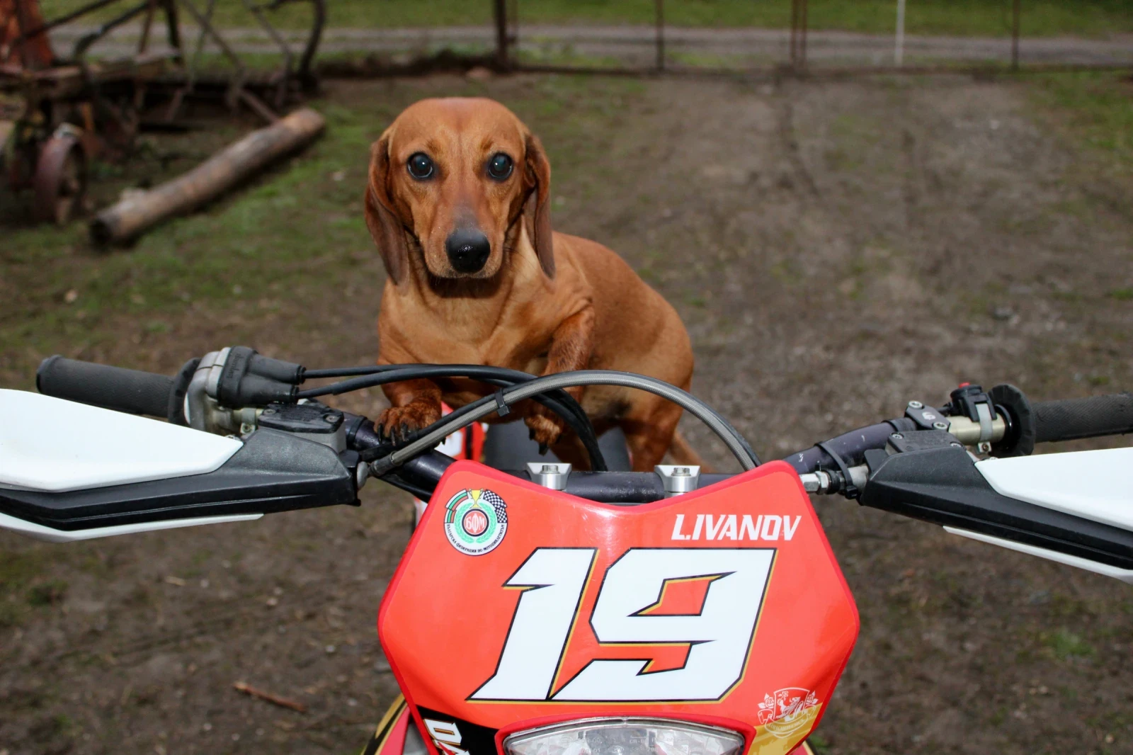 GASGAS EC, снимка 8 - Мотоциклети и мототехника - 54032884