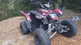 Aeon Cobra 350, снимка 2