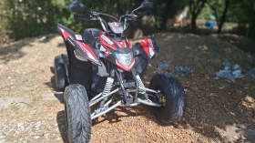 Aeon Cobra 350, снимка 9
