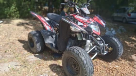 Aeon Cobra 350, снимка 4