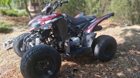 Aeon Cobra 350, снимка 8