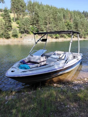       Bayliner Capri V8 5.0