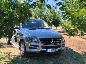  Mercedes-Benz ML 350