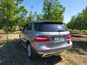 Mercedes-Benz ML 350 | Mobile.bg    16