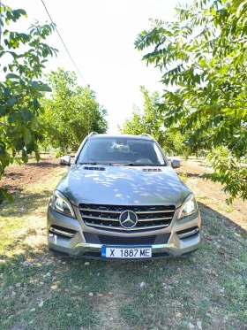 Mercedes-Benz ML 350 | Mobile.bg    14