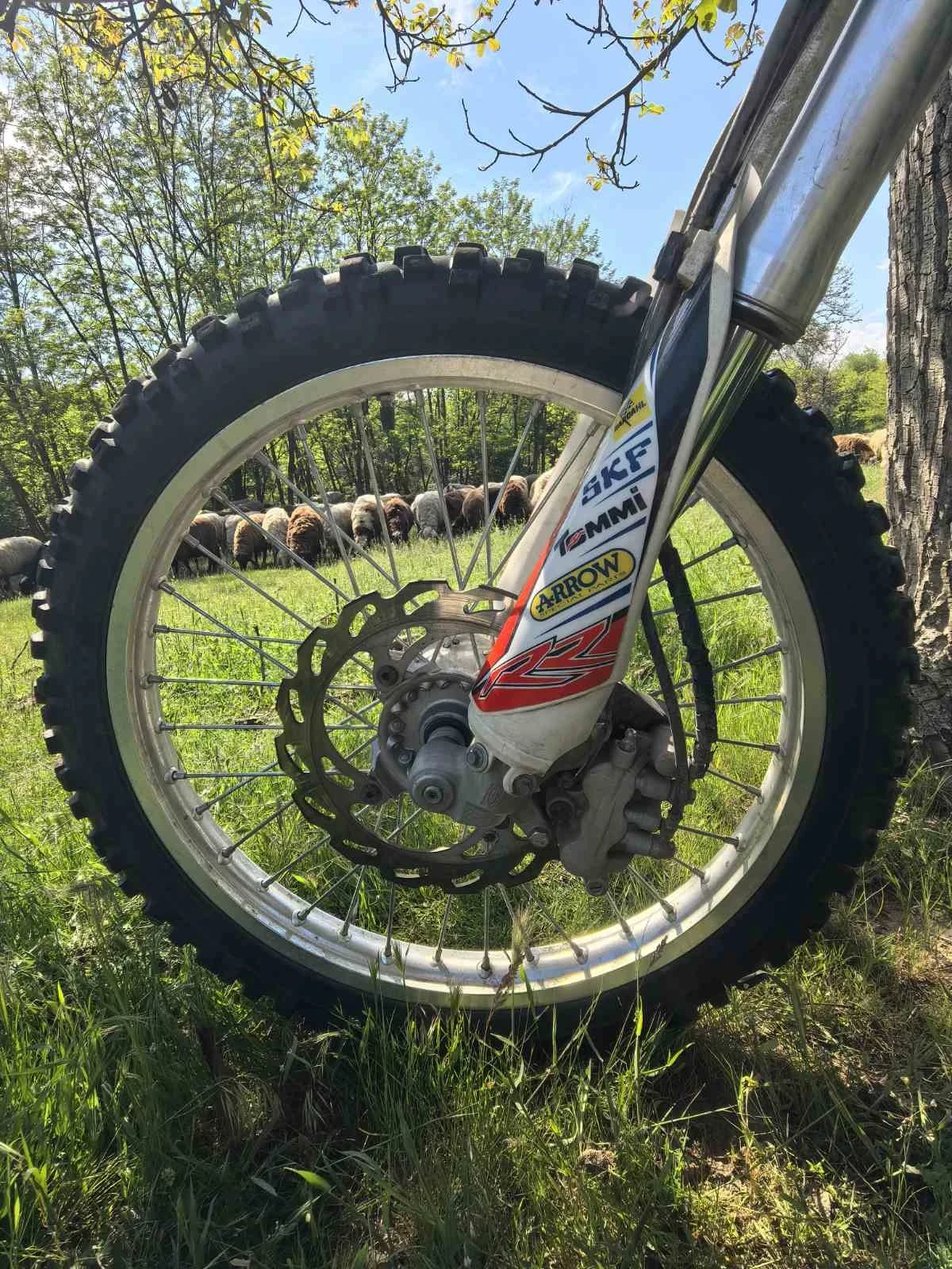 Beta Rr 125 - изображение 8