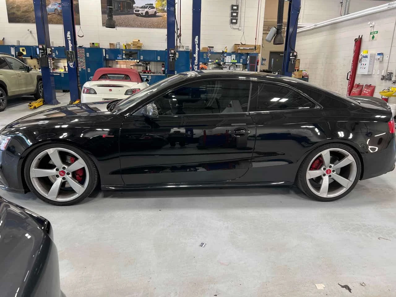 Audi S5 * Dynamic Edition * CARFAX * ОПЦИЯ ЗА ФИНАНСИРАНЕ , снимка 2 - Автомобили и джипове - 55317237