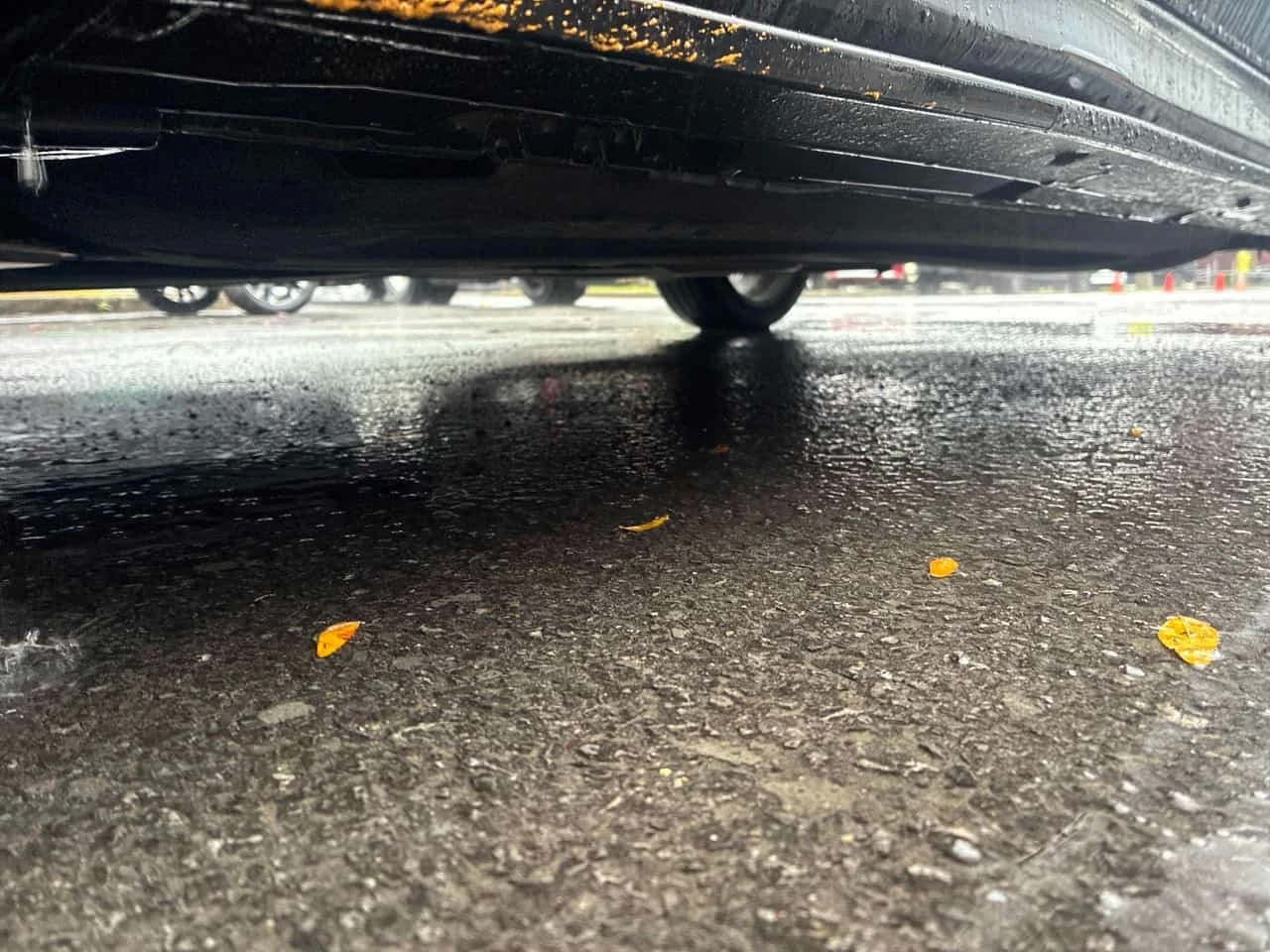 Hyundai Elantra * N Line * CARFAX * ��� ������������ ������ | Mobile.bg � ����������� 17