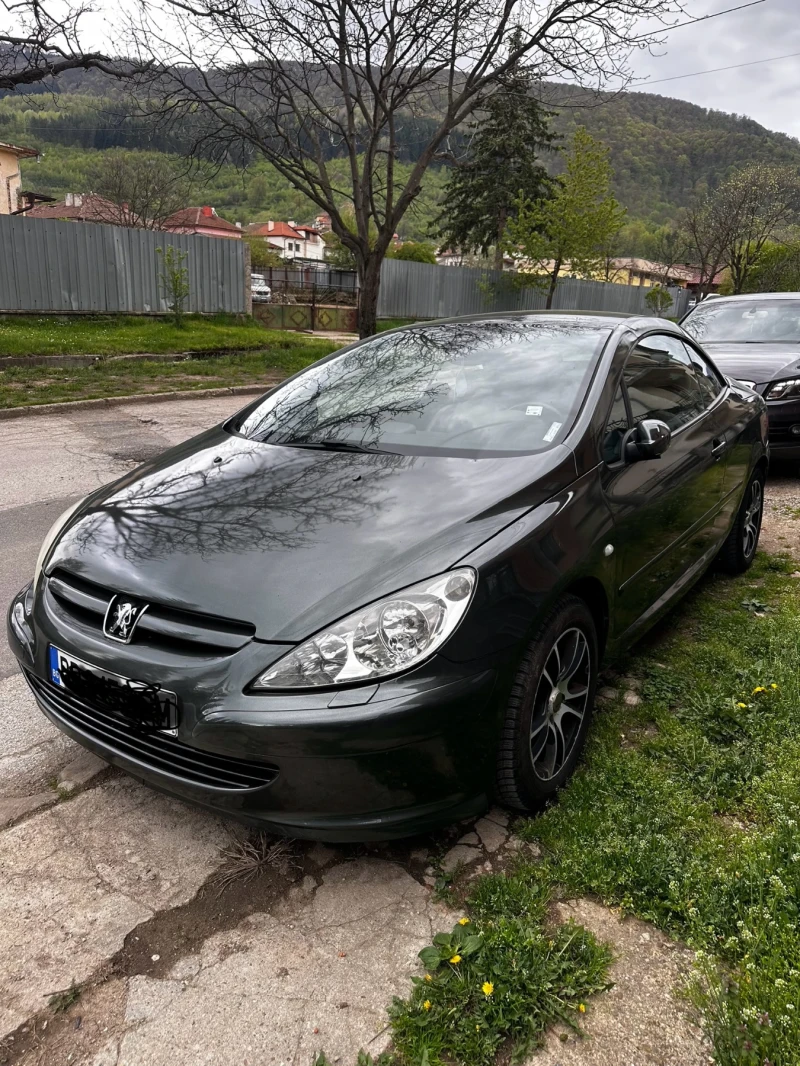 Peugeot 307, снимка 2 - Автомобили и джипове - 52348989