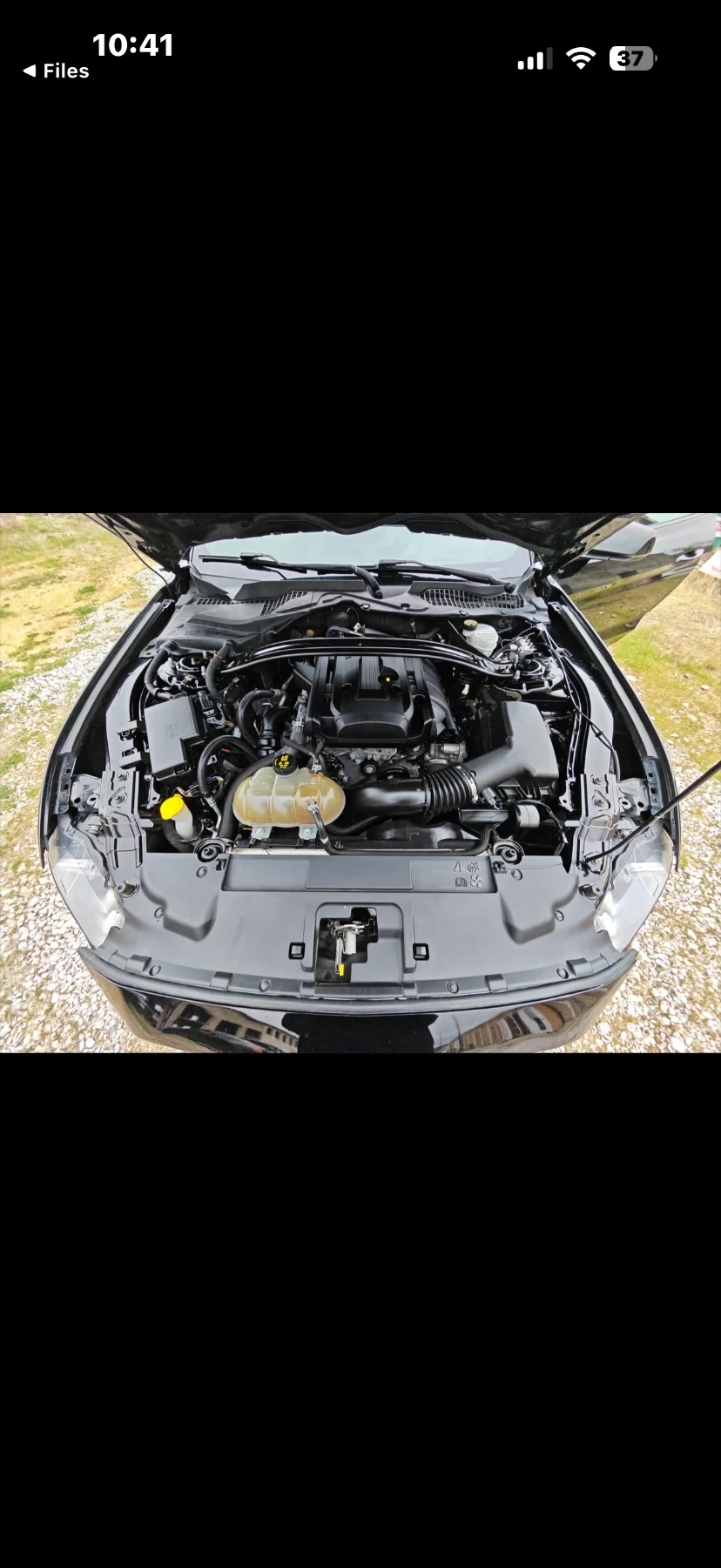 Ford Mustang 2.3 EcoBoost, снимка 11 - Автомобили и джипове - 54088703