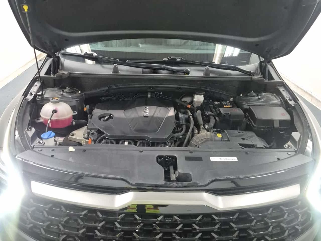 Kia Sportage * Awd W/green Interior X line Limited * CARFAX *  | Mobile.bg � ����������� 17