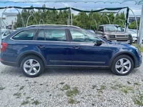 Skoda Octavia  Scout 2.0TDI 4x4 DSG | Mobile.bg    6