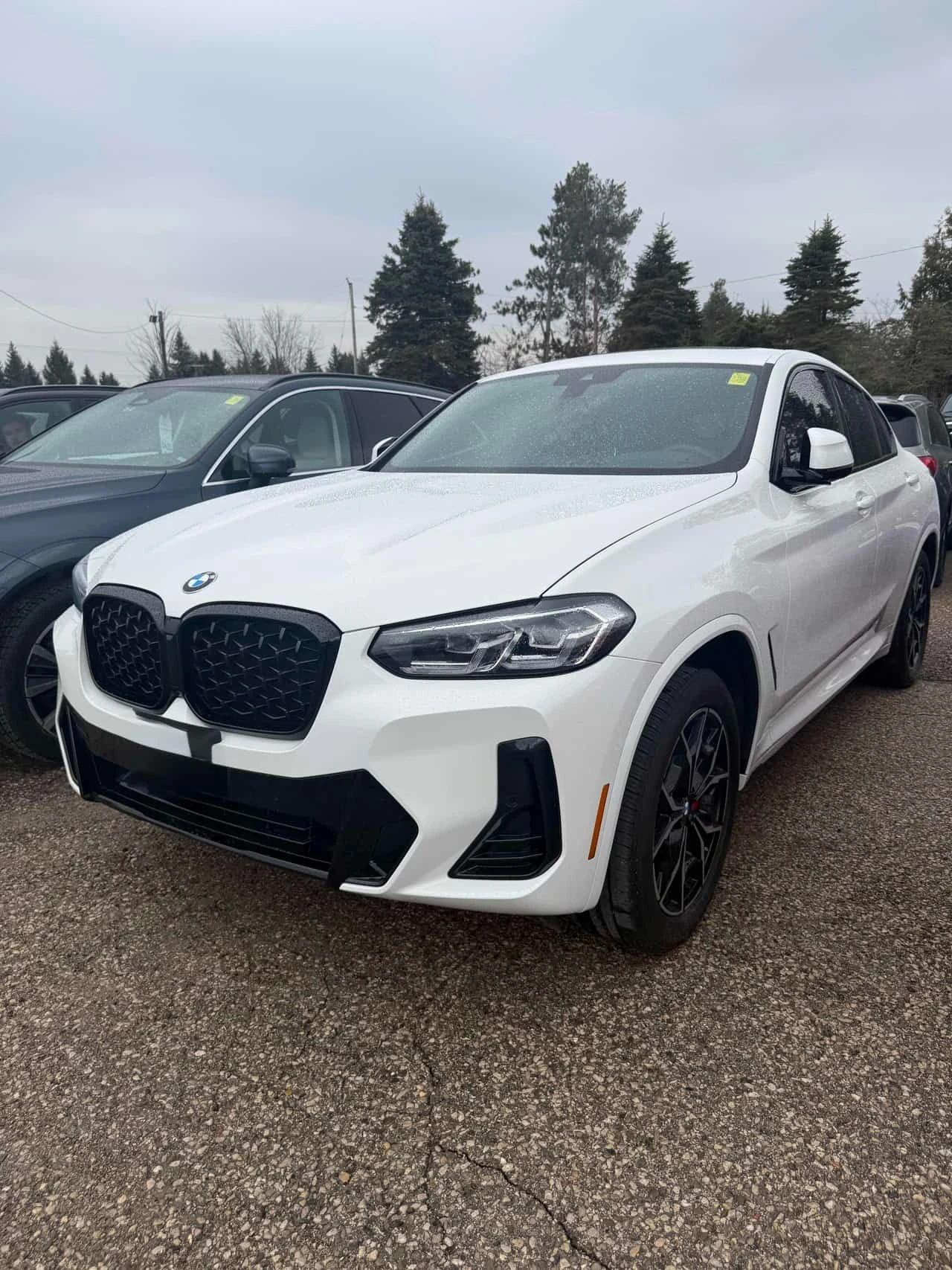 BMW X4 M SPORT xDrive30i/ПАНОРАМА/БЕЗ ИНЦИДЕНТИ, снимка 4 - Автомобили и джипове - 54045556