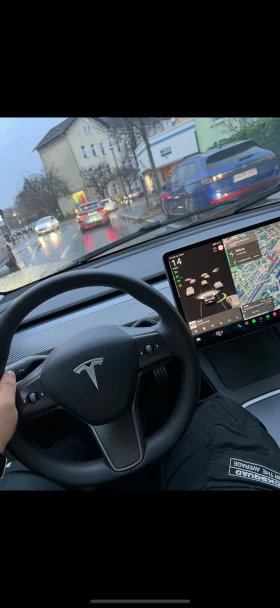Tesla Model 3 Performance, EU, Гаранция, снимка 3