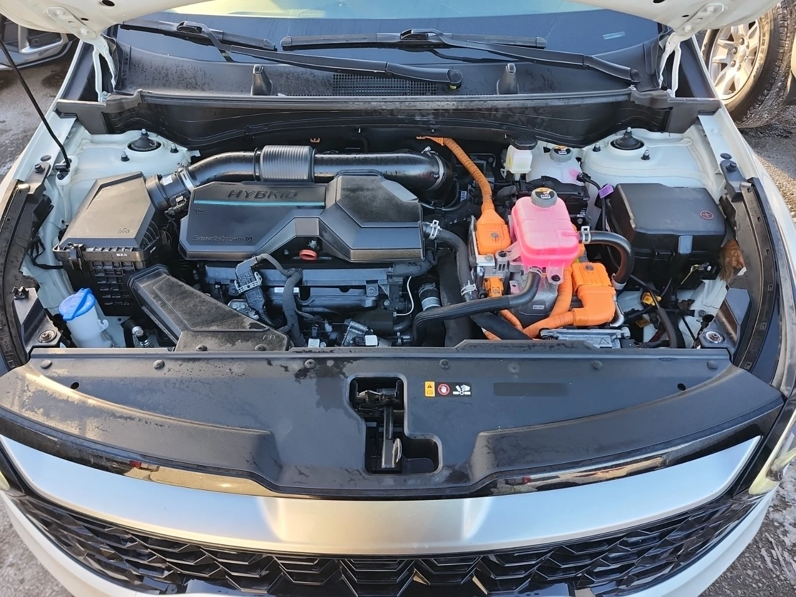 Kia Sportage * EX* AWD* CARFAX* *  | Mobile.bg   11