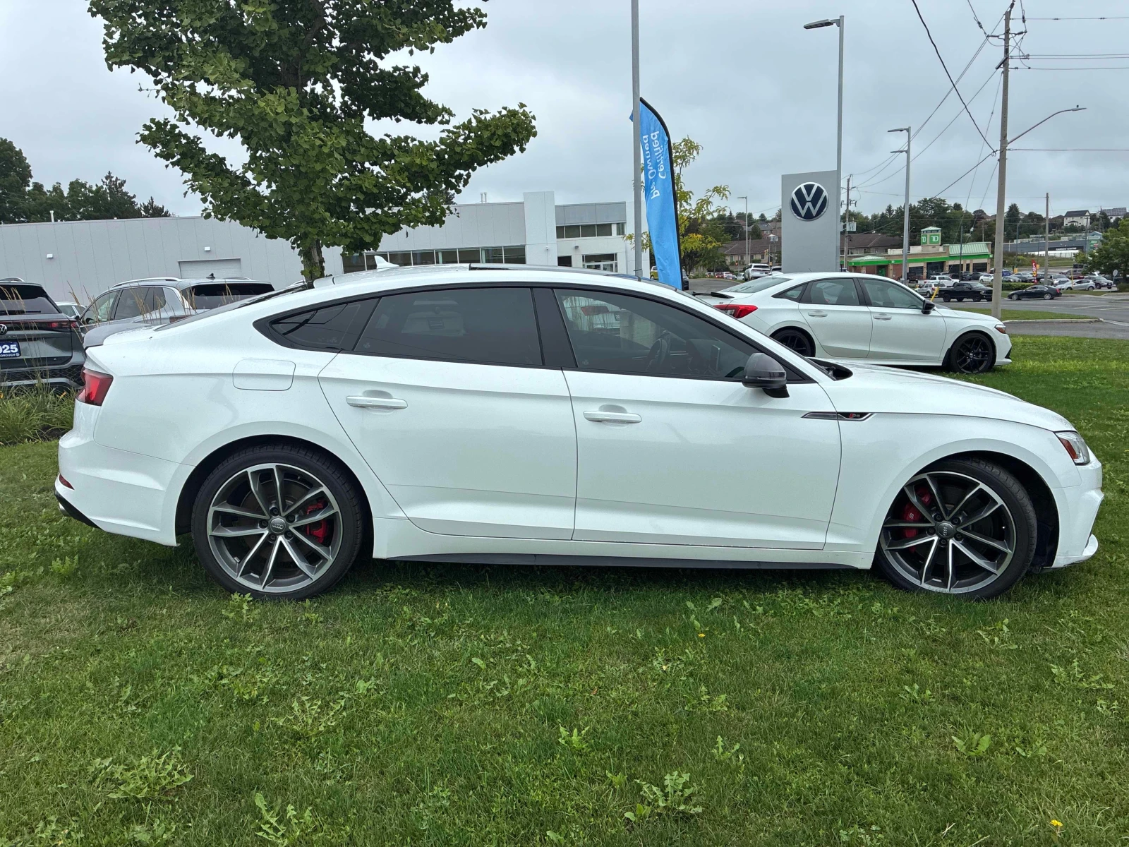Audi S5 Technik  CARFAX, снимка 3 - Автомобили и джипове - 55921676