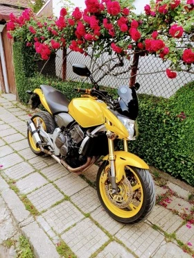     Honda Hornet