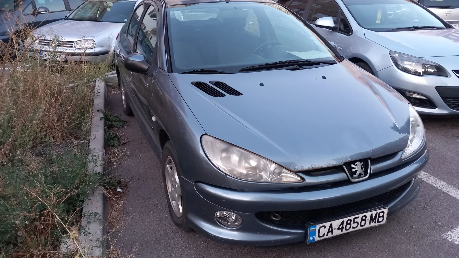 Peugeot 206