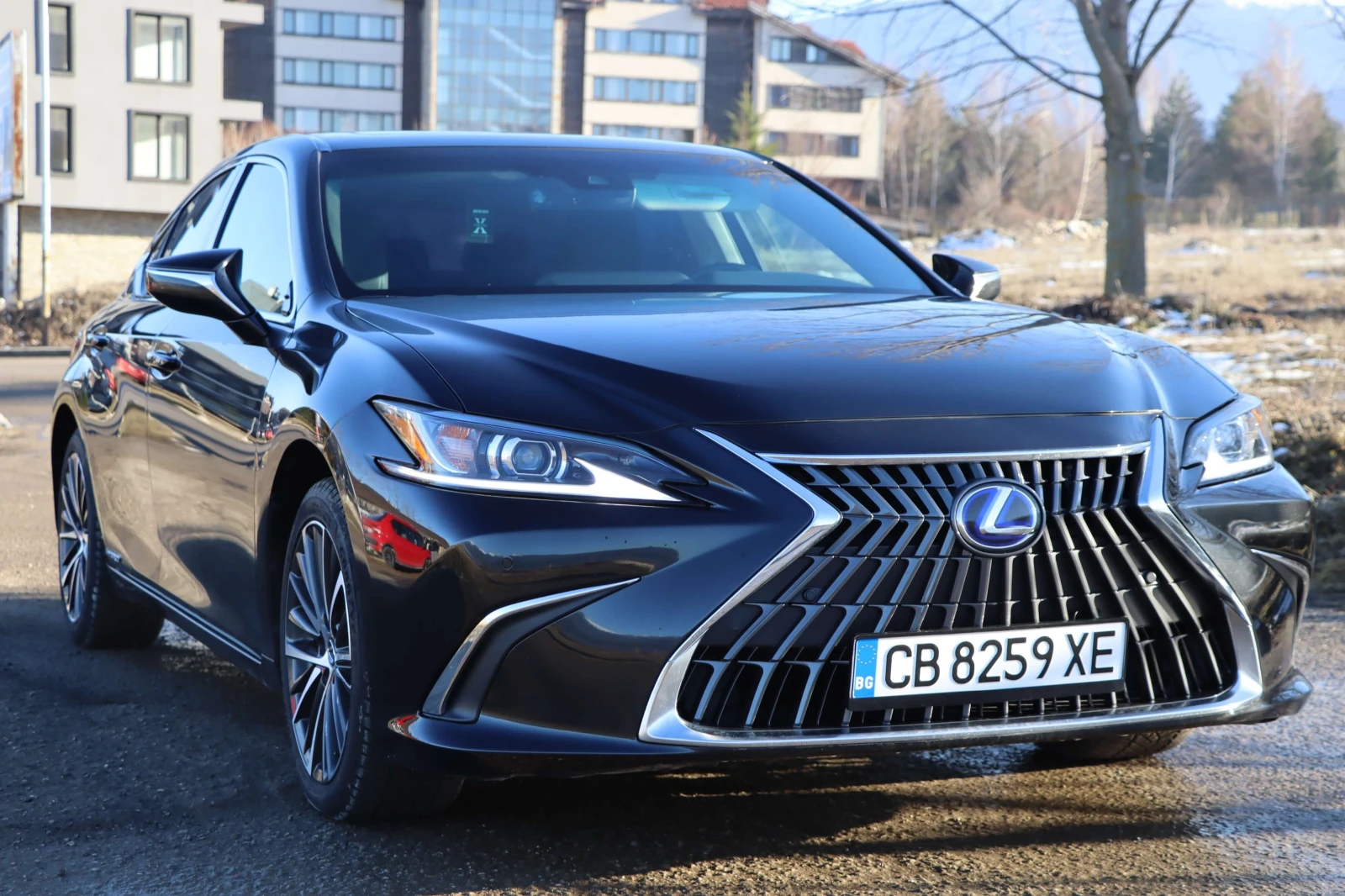 Lexus ES 300h - изображение 2