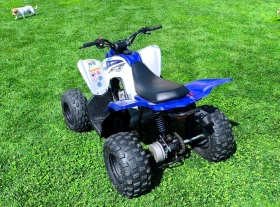 Yamaha Raptor YFM 90, снимка 5