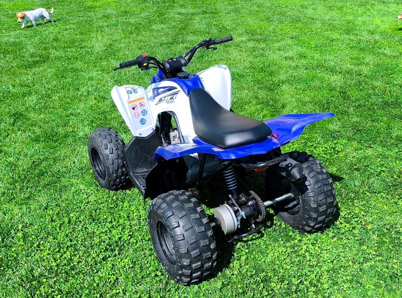 Yamaha Raptor YFM 90 - изображение 5