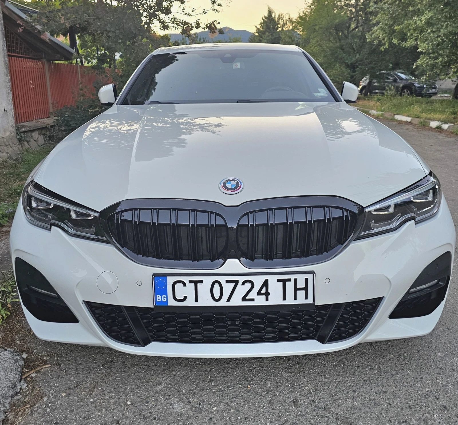 BMW 320 M sport, RWD, mild, alpinweiss, alcantara, memory, снимка 10 - Автомобили и джипове - 54486150