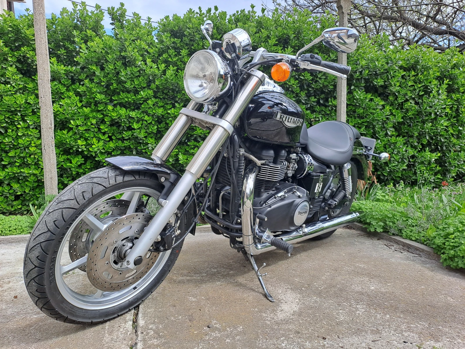 Triumph Speedmaster  - изображение 2