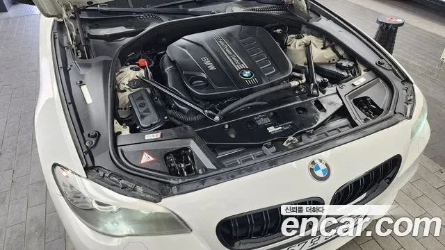 BMW 535 5 Series (F10) 535d - изображение 6