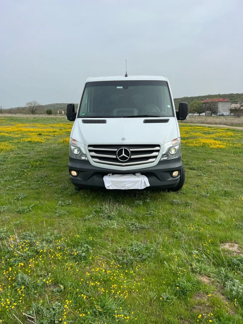 Mercedes-Benz Sprinter 319, снимка 1 - Бусове и автобуси - 48619634