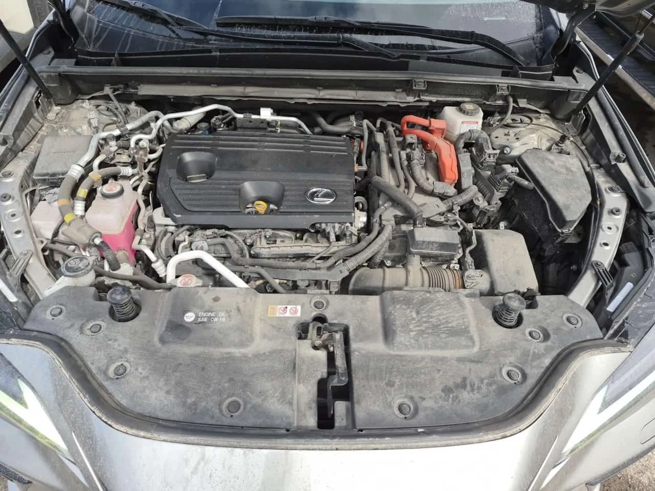 Lexus NX 450H+ /CARFAX/Дистроник/2 ключа/Пано/Обдух/Подгрев, снимка 16 - Автомобили и джипове - 53819556