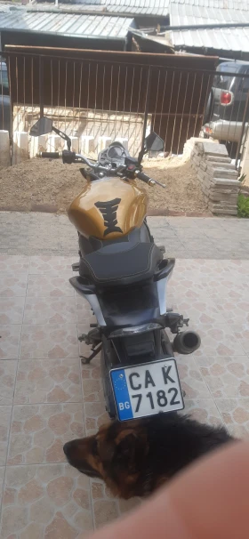 Обява за продажба на Honda Hornet ~6 400 лв. - изображение 3