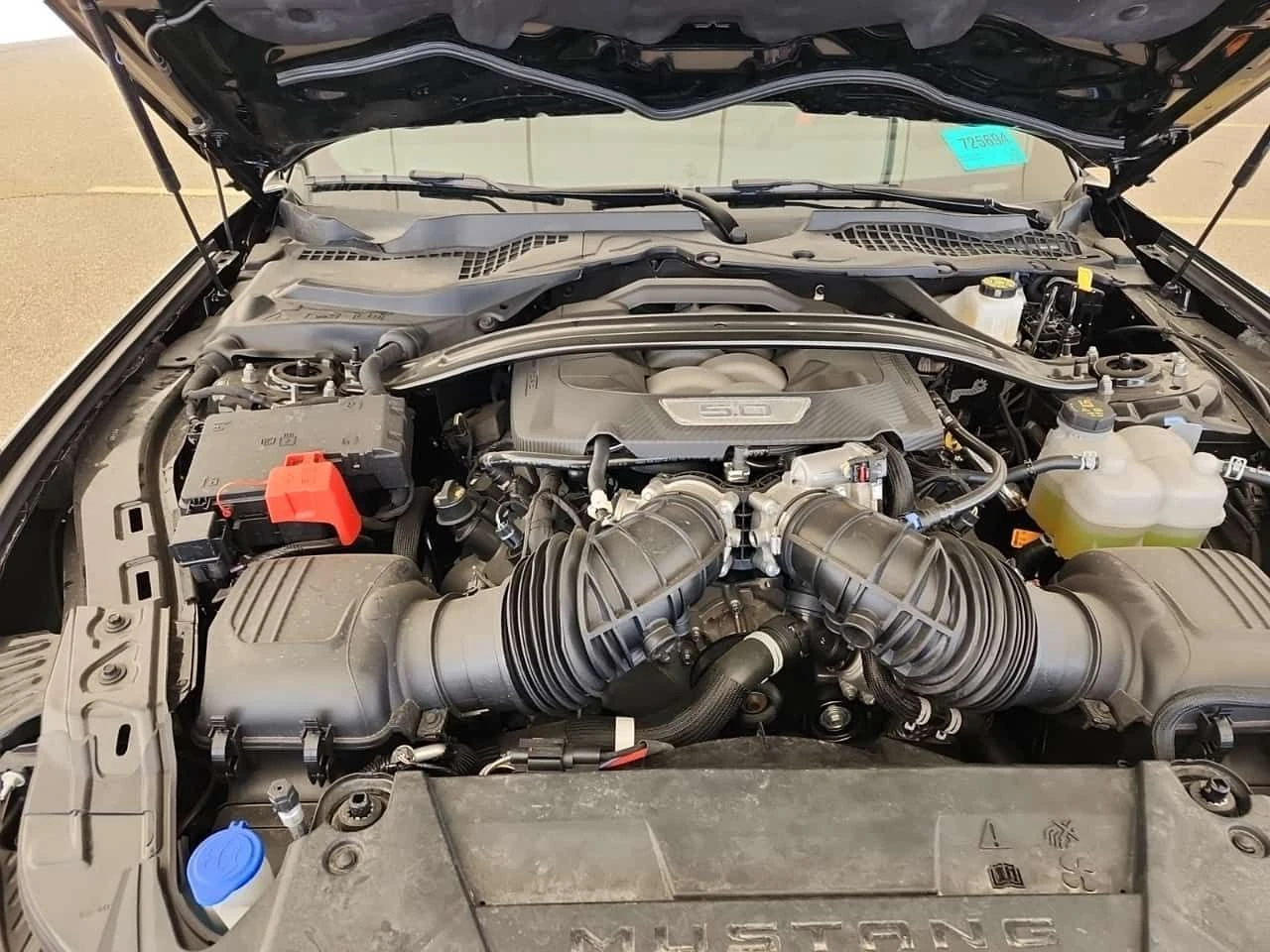 Ford Mustang GT| 5.0L V8| CARFAX| , снимка 7 - Автомобили и джипове - 54502127