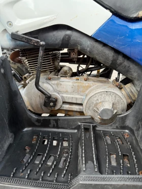 Polaris Phoenix Polaris Phoenix, снимка 4