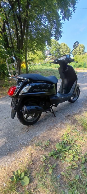 Sym Fiddle 4 ������ 50 ������  | Mobile.bg � ����� ������ 6