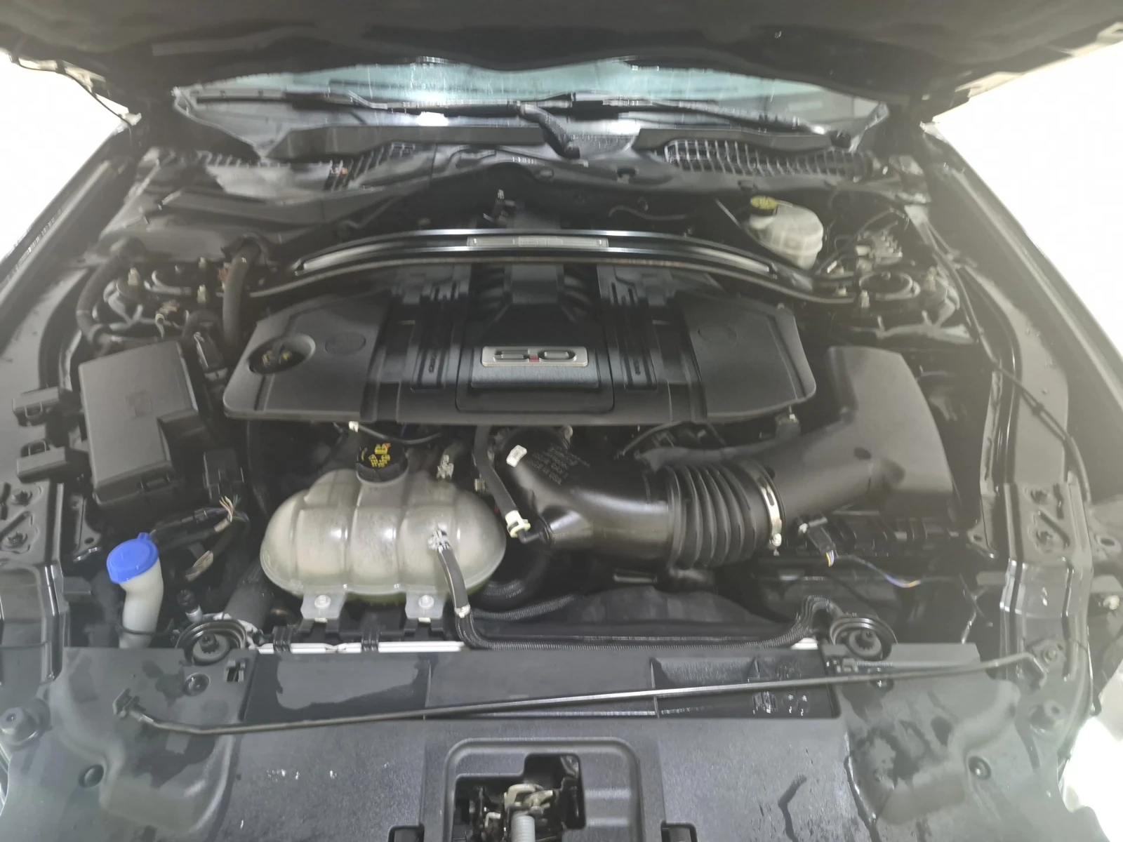 Ford Mustang GT PREMIUM, снимка 16 - Автомобили и джипове - 56315688