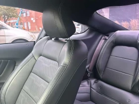 Ford Mustang * GT * CARFAX *  - 20300 € - 81799109 13