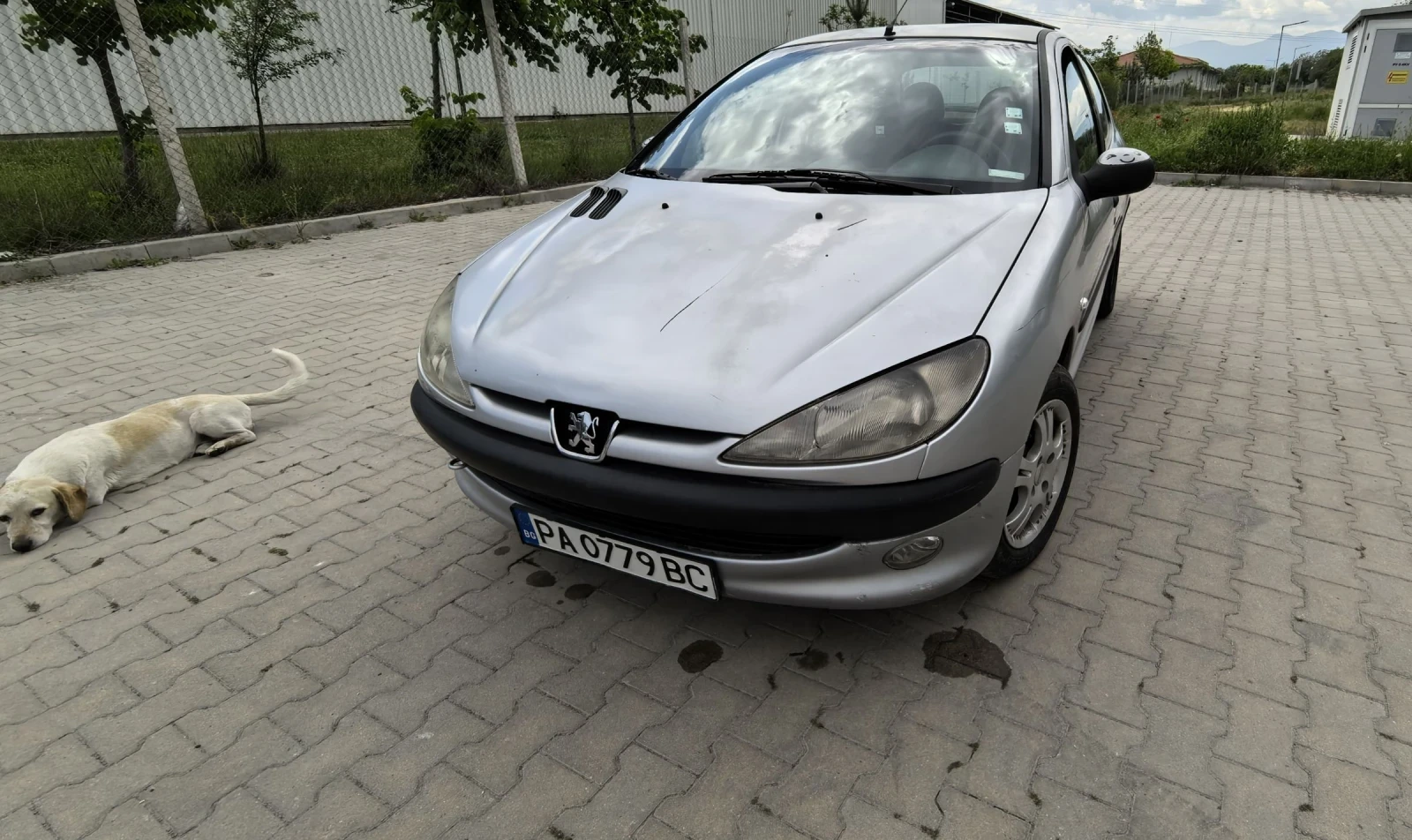 Peugeot 206, снимка 8 - Автомобили и джипове - 55353963