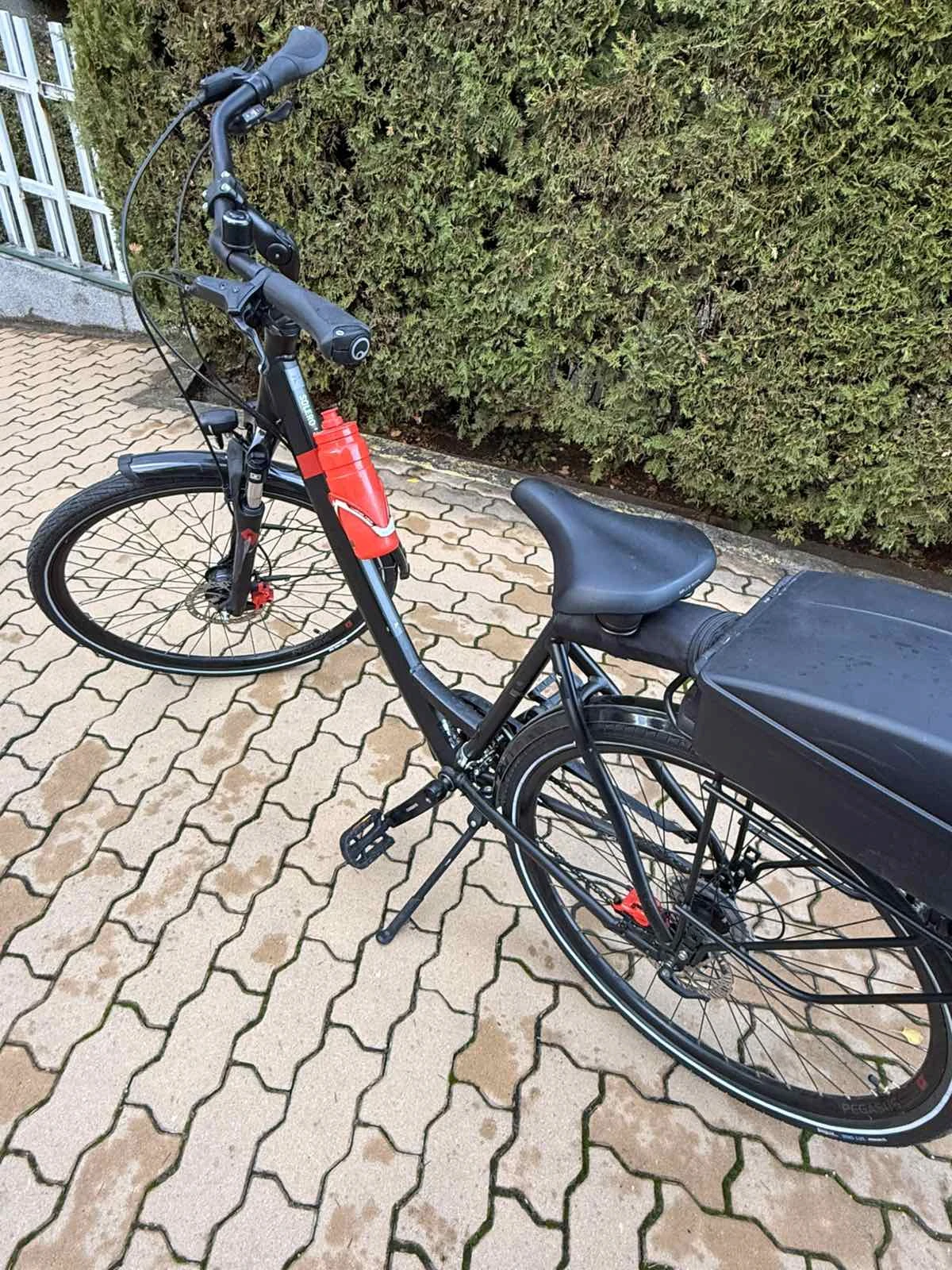 ������� Pegasus Solero | Mobile.bg � ����������� 3