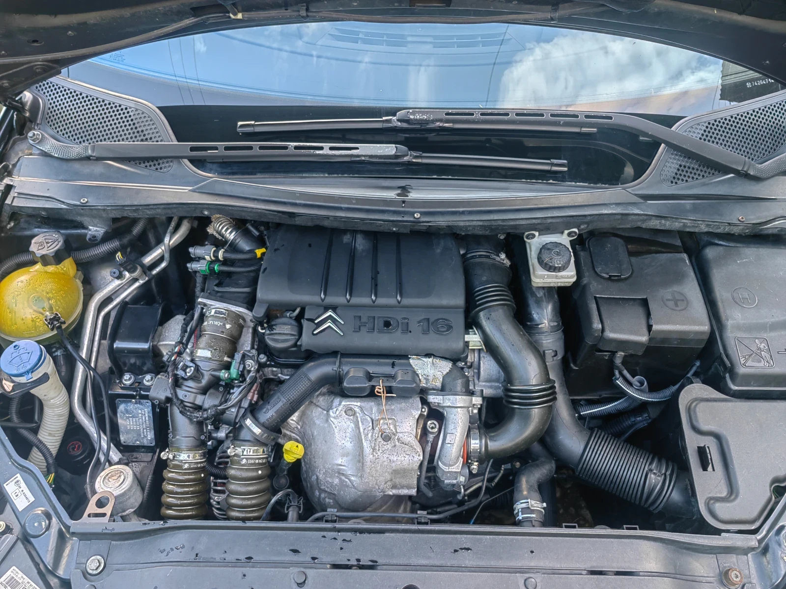 Citroen C4  - изображение 8