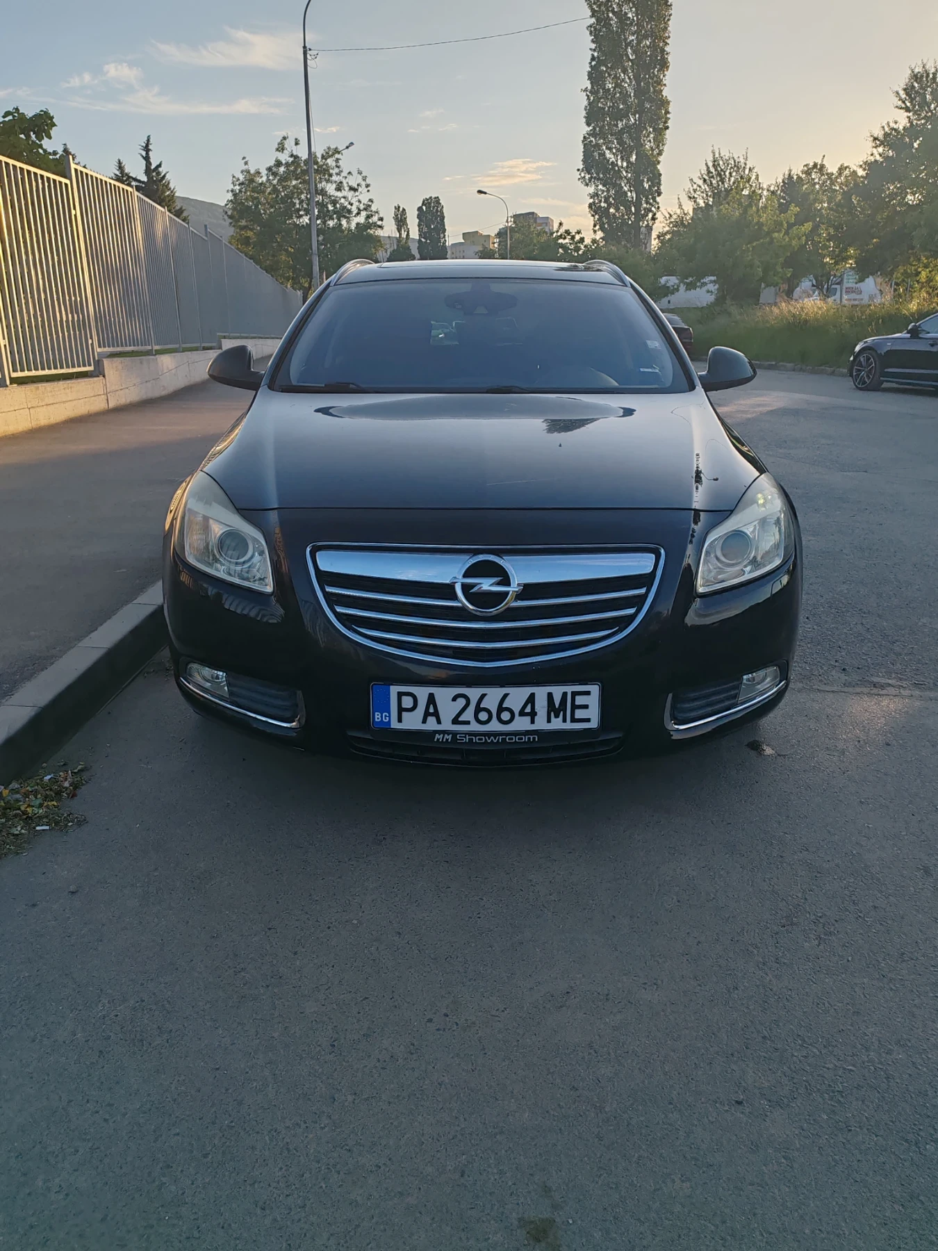Opel Insignia, снимка 2 - Автомобили и джипове - 54722644