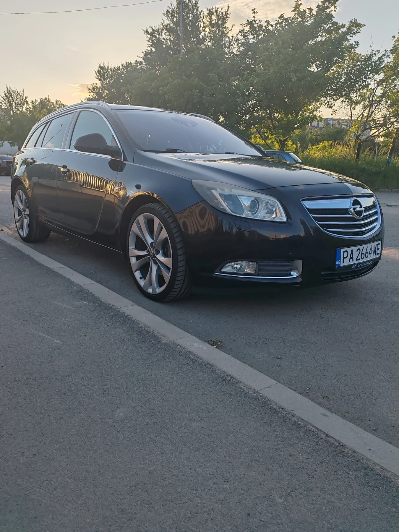 Opel Insignia, снимка 13 - Автомобили и джипове - 54722644