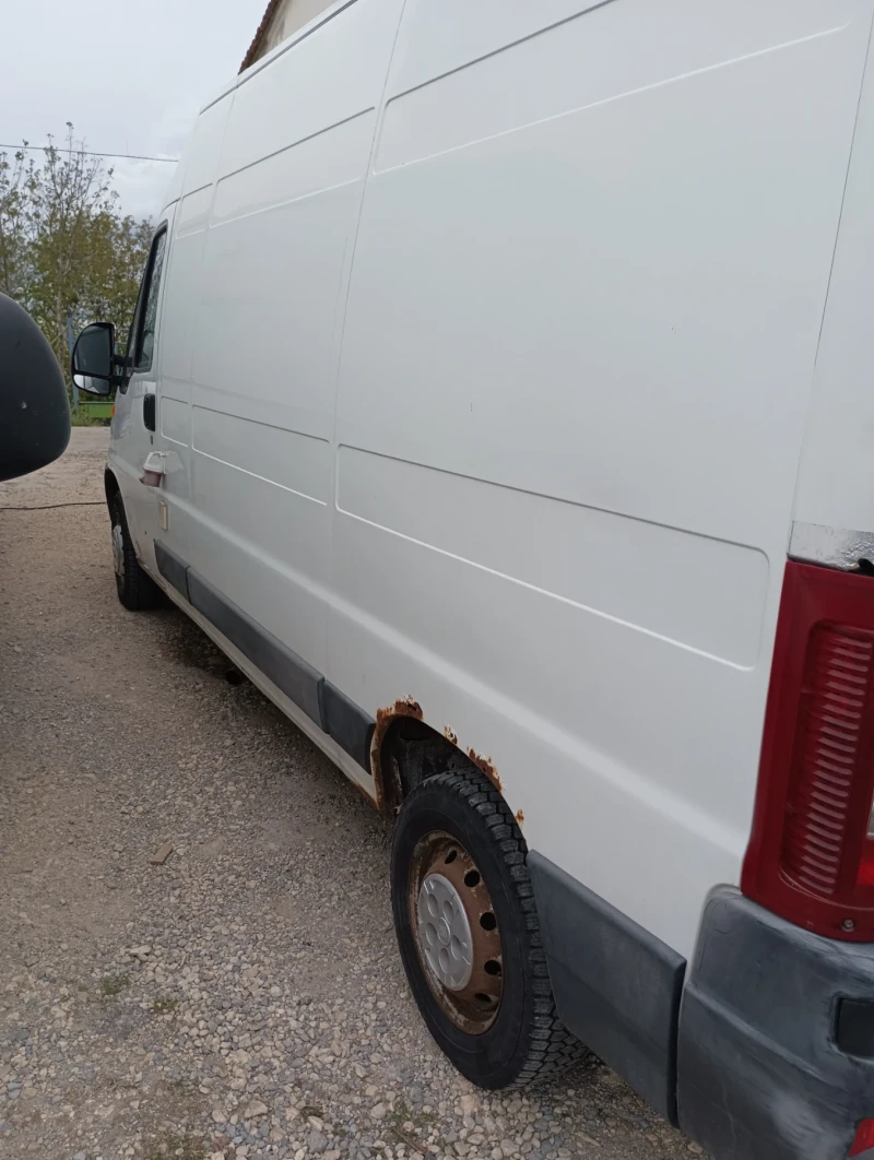 Fiat Ducato Търговски за храна , снимка 6 - Бусове и автобуси - 52674182