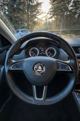 Skoda Octavia - 8180 € / 15998.69 лв. - 67064113 5