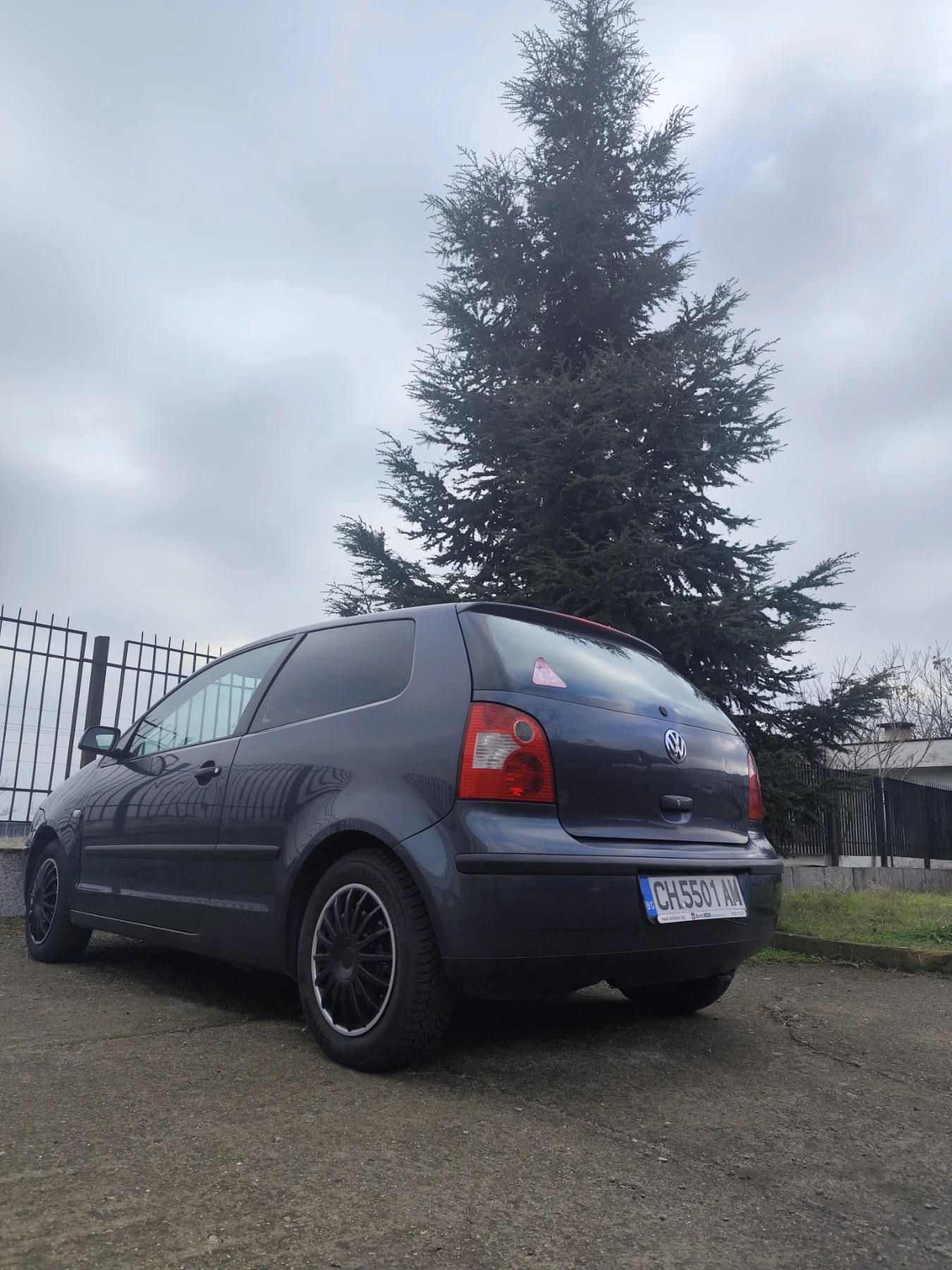 VW Polo