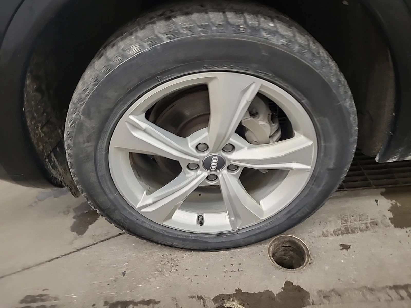 Audi Q5 * PROGRESSIV * CARFAX * БЕЗ ПЪРВОНАЧАЛНА ВНОСКА, снимка 7 - Автомобили и джипове - 55821903