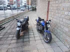 Honda Hornet, снимка 2